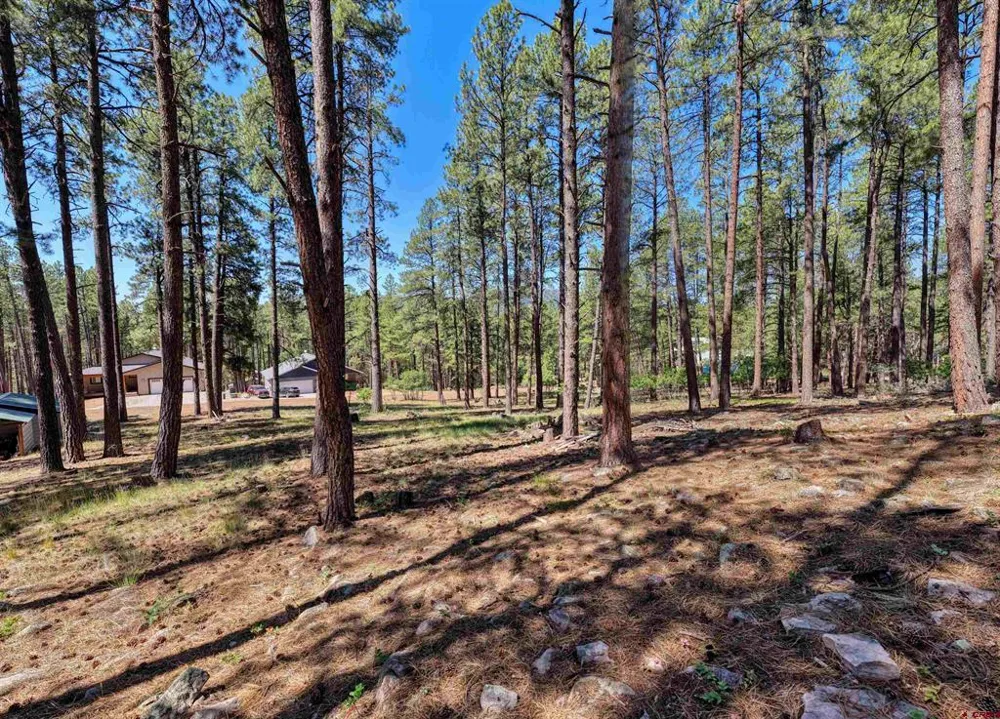 79 Spruce Way Bayfield, CO 81122
