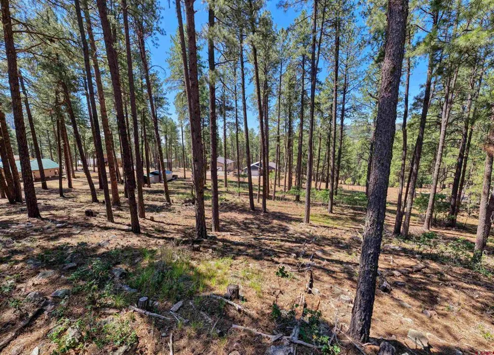 79 Spruce Way Bayfield, CO 81122