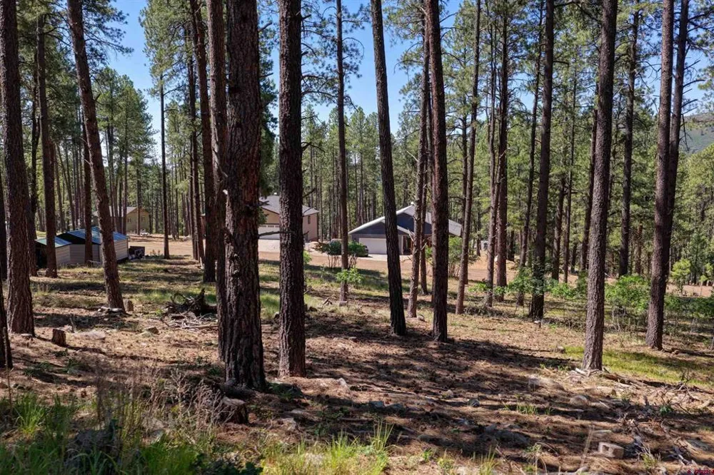 79 Spruce Way Bayfield, CO 81122