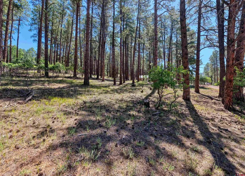79 Spruce Way Bayfield, CO 81122