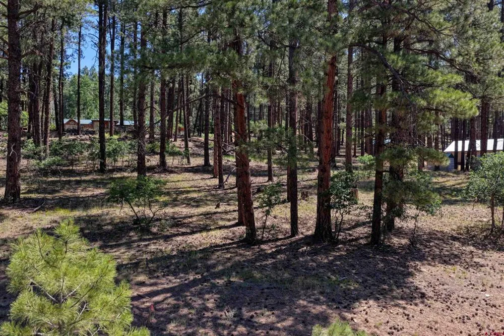 79 Spruce Way Bayfield, CO 81122