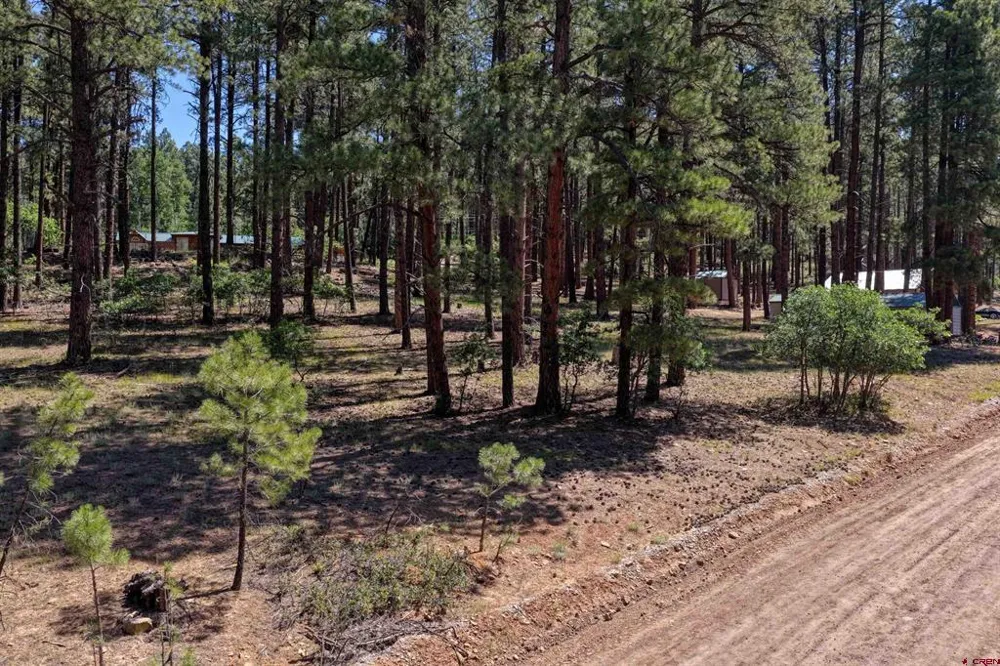 79 Spruce Way Bayfield, CO 81122
