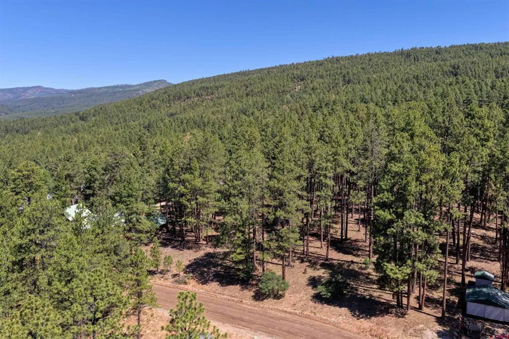 79 Spruce Way Bayfield, CO 81122