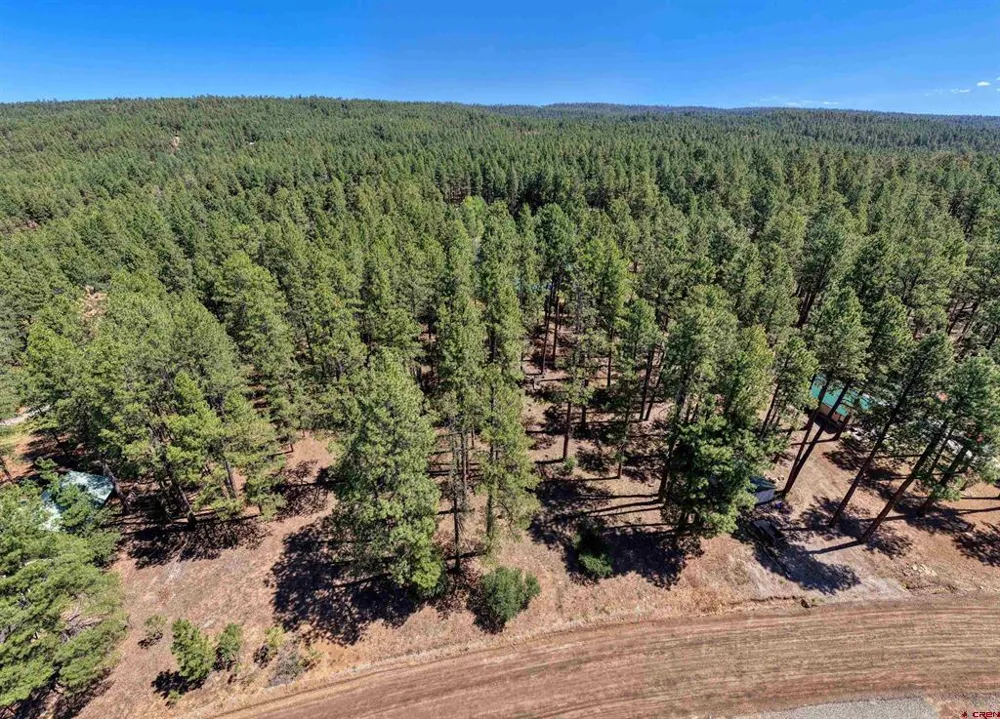 79 Spruce Way Bayfield, CO 81122
