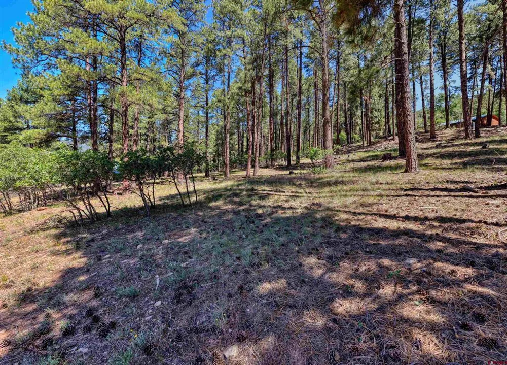 79 Spruce Way Bayfield, CO 81122