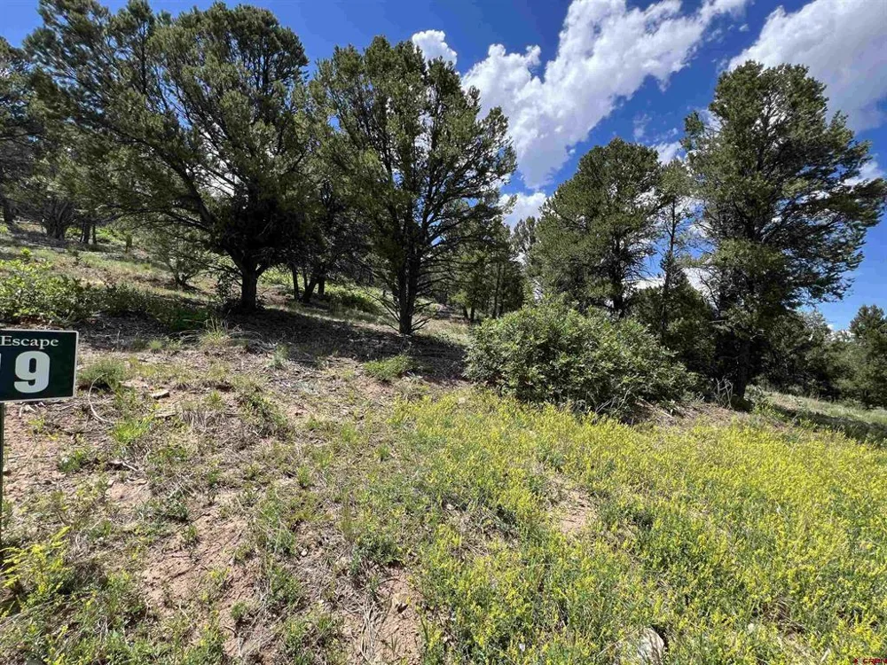 9 Pointe Escape Drive Ridgway, CO 81432