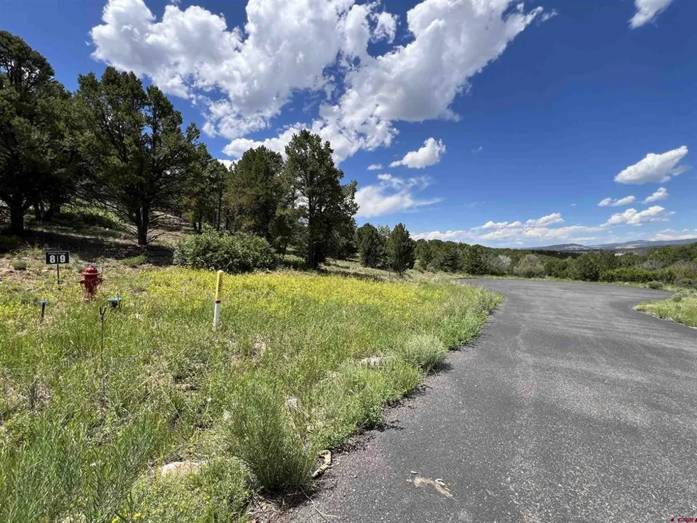 9 Pointe Escape Drive Ridgway, CO 81432