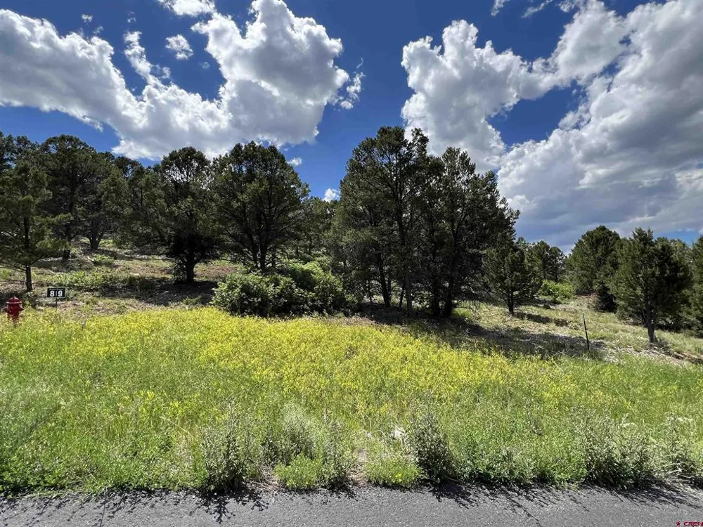 9 Pointe Escape Drive Ridgway, CO 81432