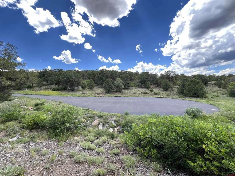 9 Pointe Escape Drive Ridgway, CO 81432