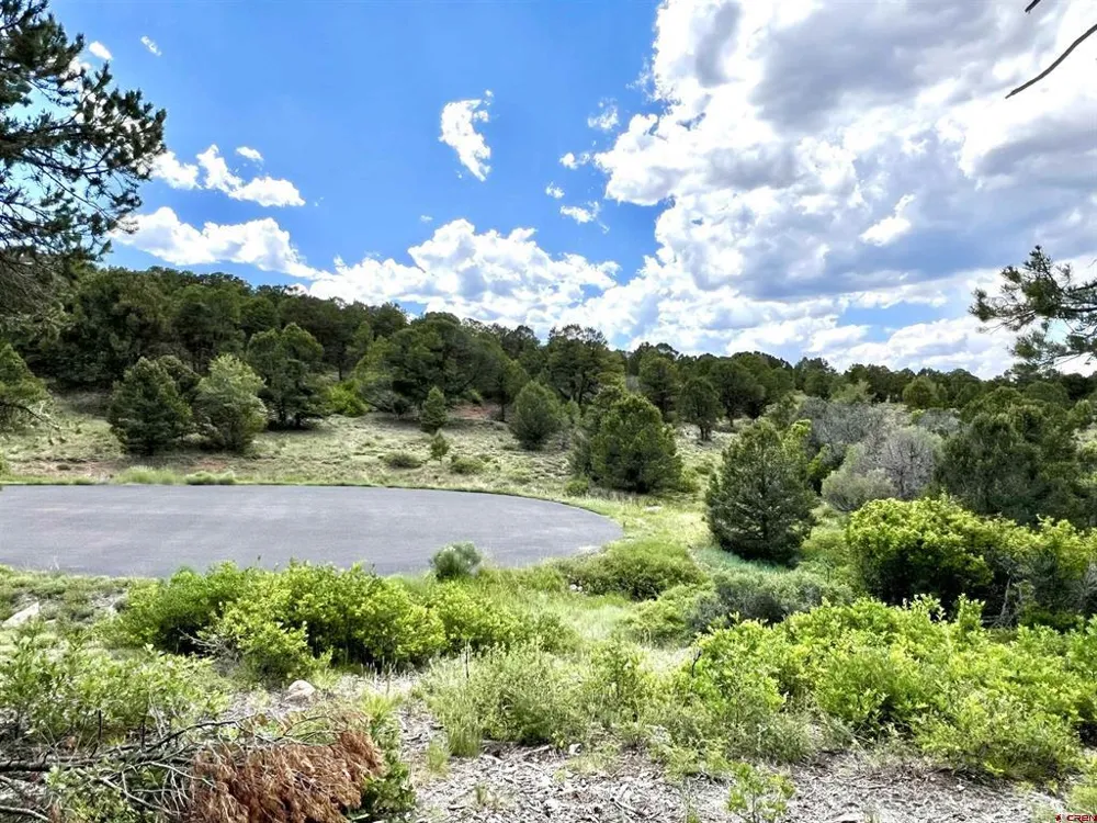 9 Pointe Escape Drive Ridgway, CO 81432