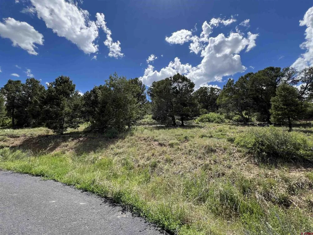 9 Pointe Escape Drive Ridgway, CO 81432