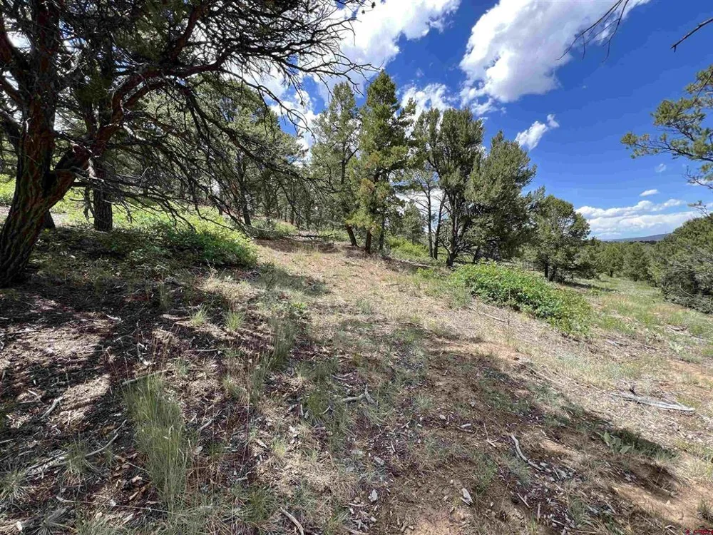 9 Pointe Escape Drive Ridgway, CO 81432