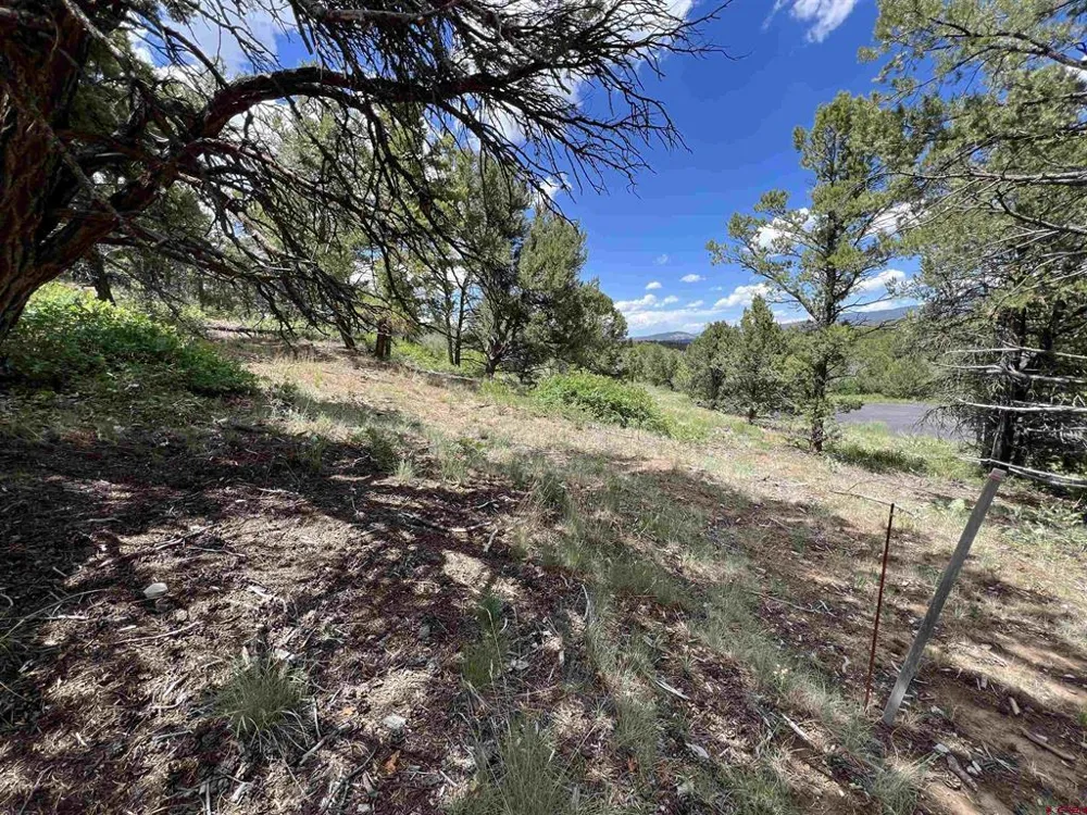 9 Pointe Escape Drive Ridgway, CO 81432