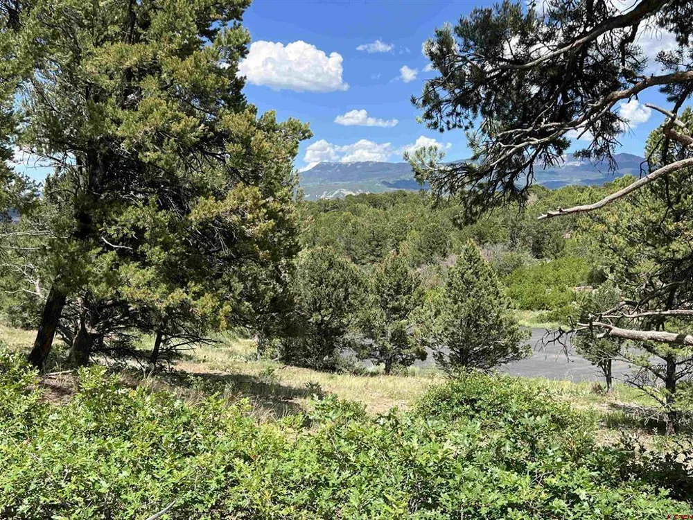 9 Pointe Escape Drive Ridgway, CO 81432