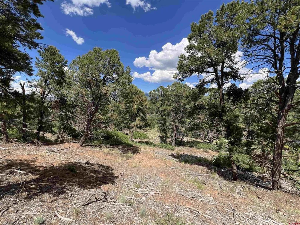 9 Pointe Escape Drive Ridgway, CO 81432