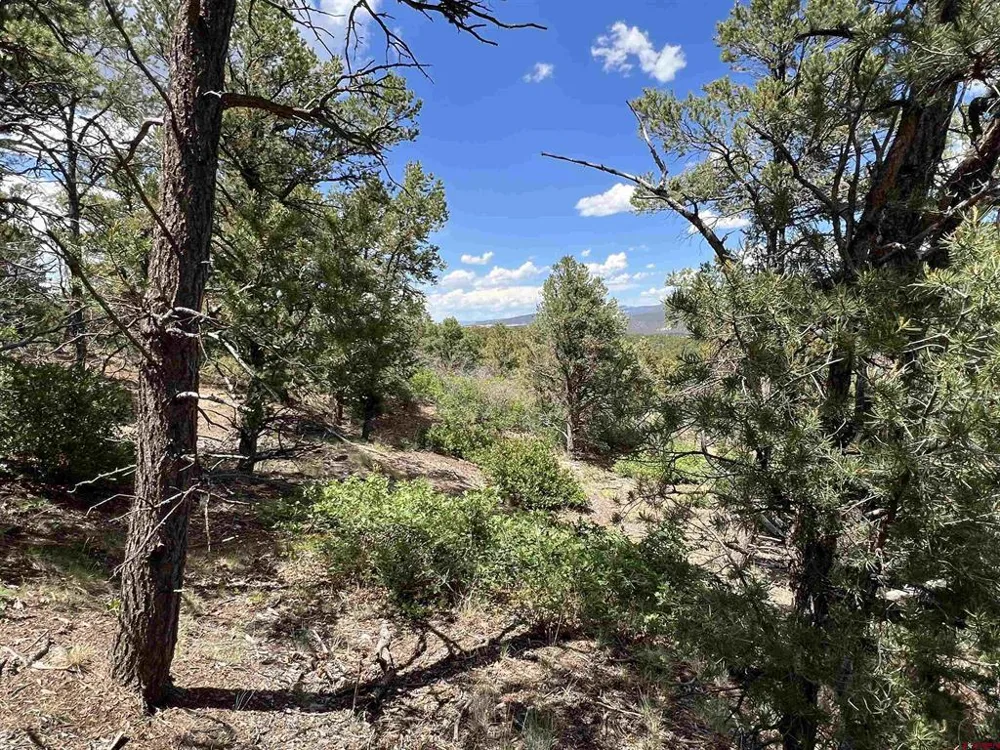 9 Pointe Escape Drive Ridgway, CO 81432