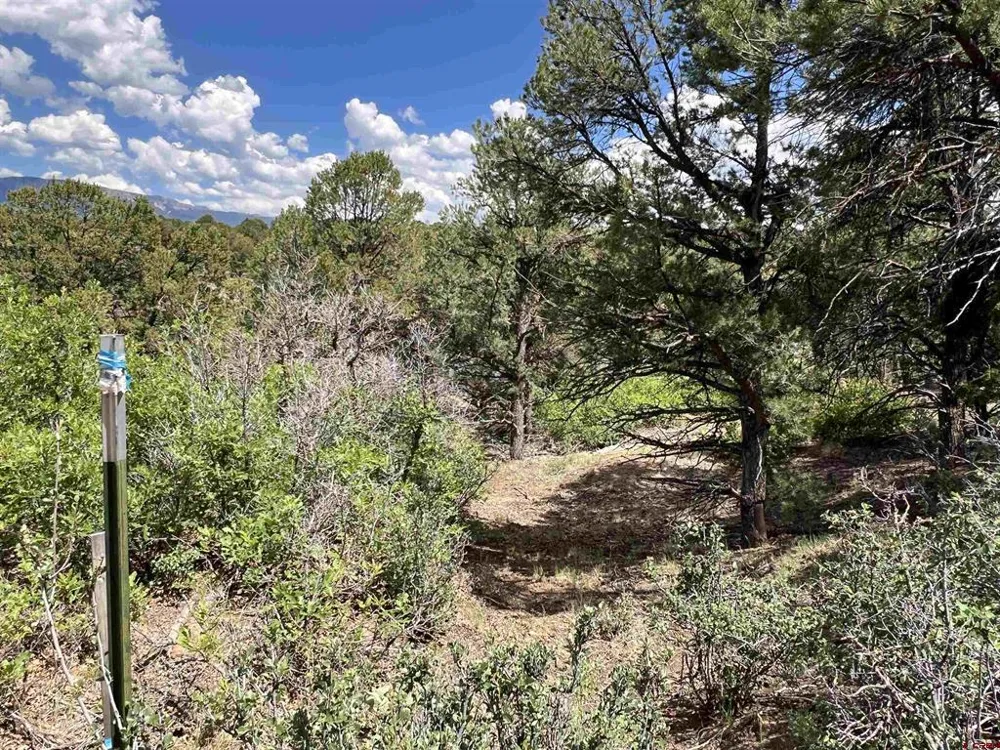 9 Pointe Escape Drive Ridgway, CO 81432