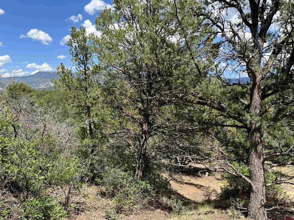 9 Pointe Escape Drive Ridgway, CO 81432