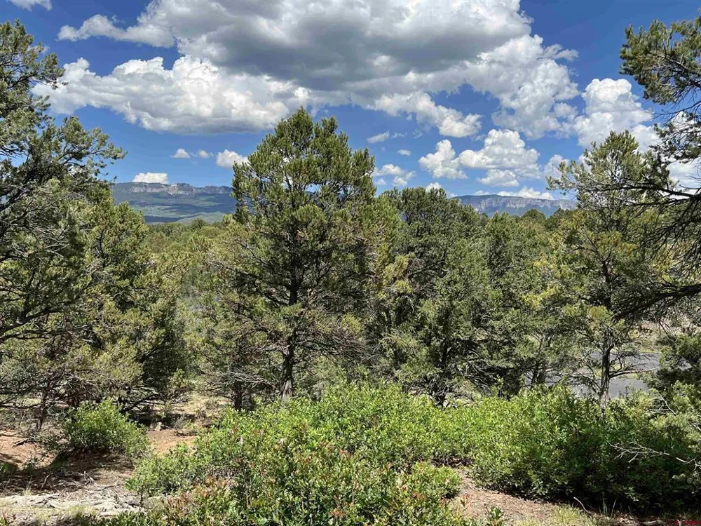 9 Pointe Escape Drive Ridgway, CO 81432