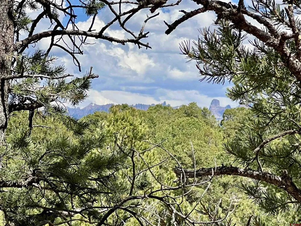 9 Pointe Escape Drive Ridgway, CO 81432