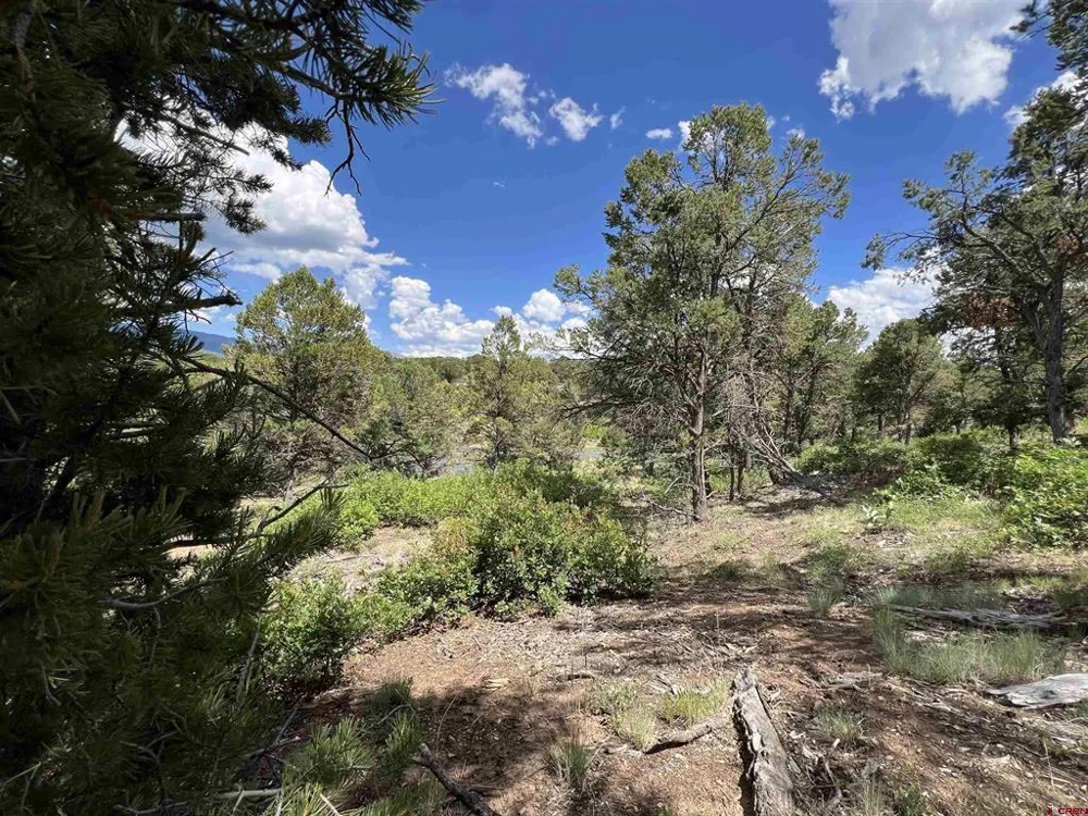 9 Pointe Escape Drive Ridgway, CO 81432