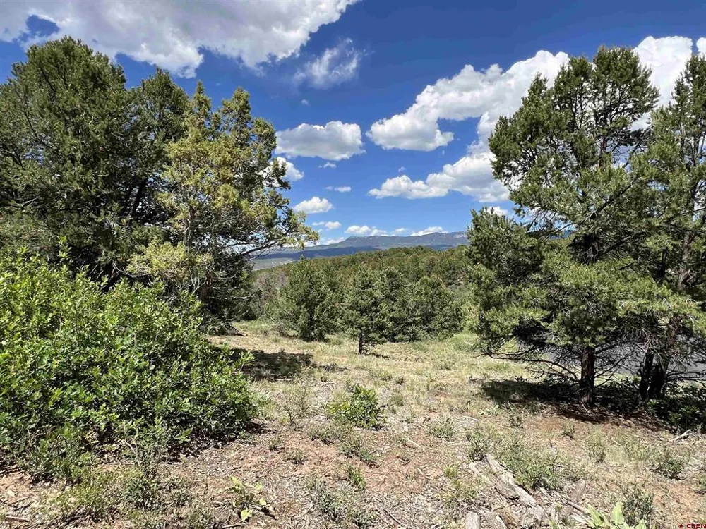 9 Pointe Escape Drive Ridgway, CO 81432