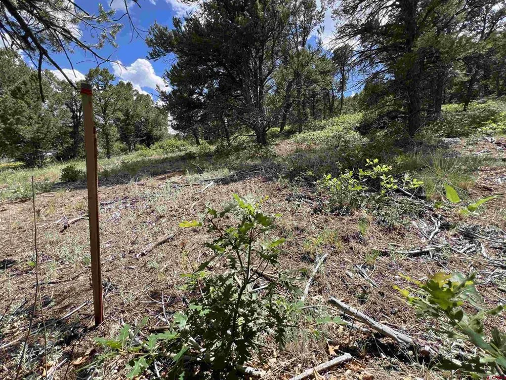 9 Pointe Escape Drive Ridgway, CO 81432