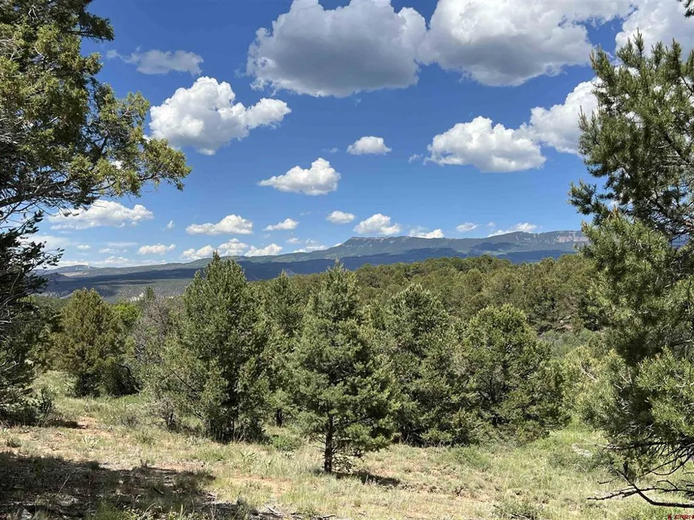 9 Pointe Escape Drive Ridgway, CO 81432