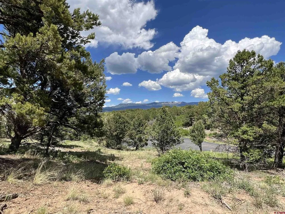 9 Pointe Escape Drive Ridgway, CO 81432