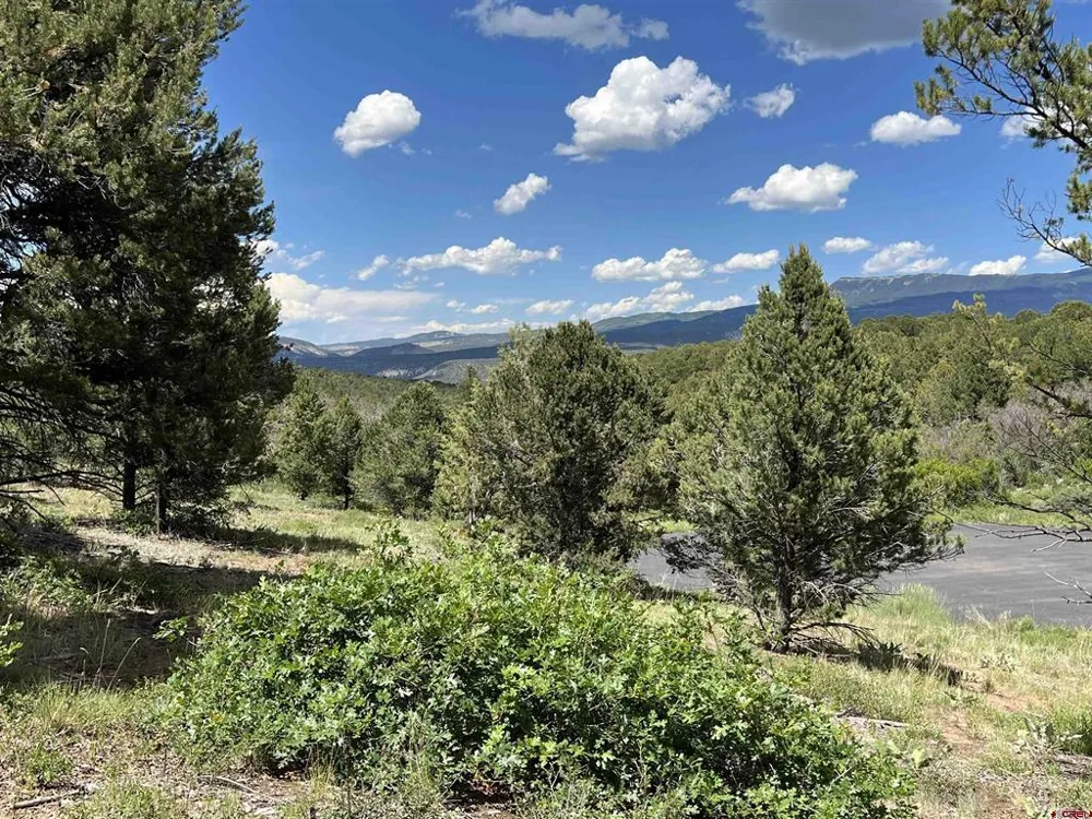 9 Pointe Escape Drive Ridgway, CO 81432
