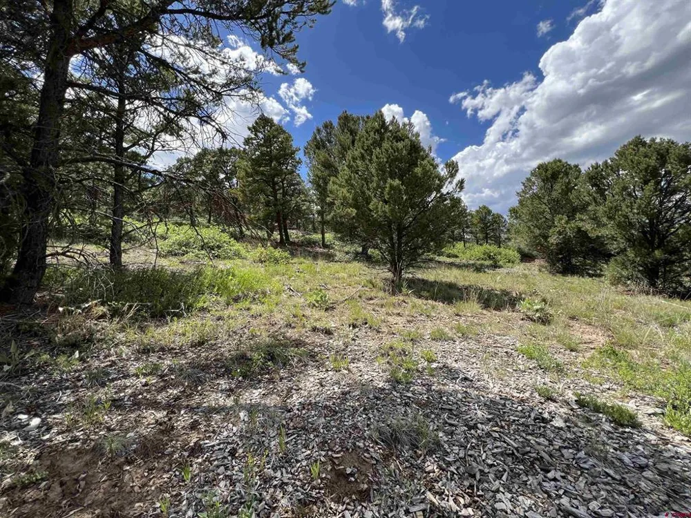 9 Pointe Escape Drive Ridgway, CO 81432