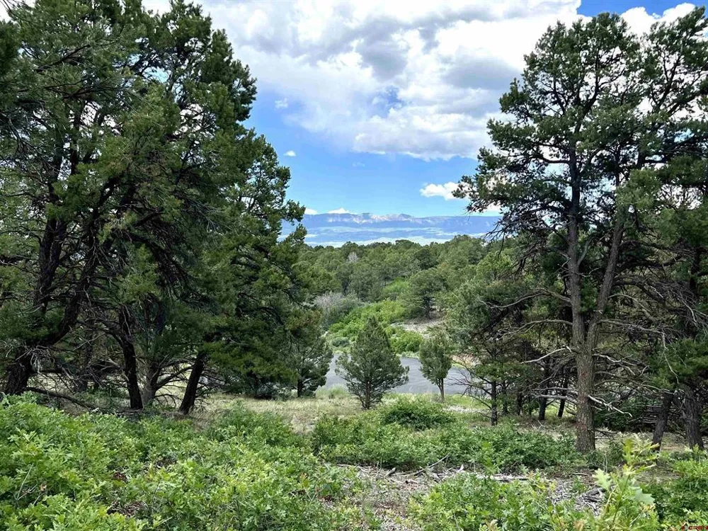 9 Pointe Escape Drive Ridgway, CO 81432