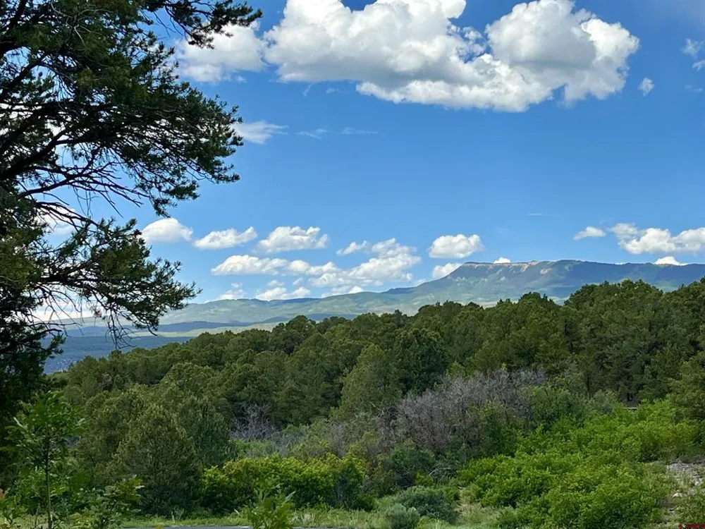 9 Pointe Escape Drive Ridgway, CO 81432