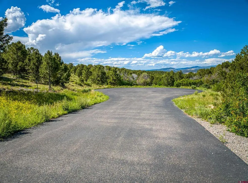 9 Pointe Escape Drive Ridgway, CO 81432