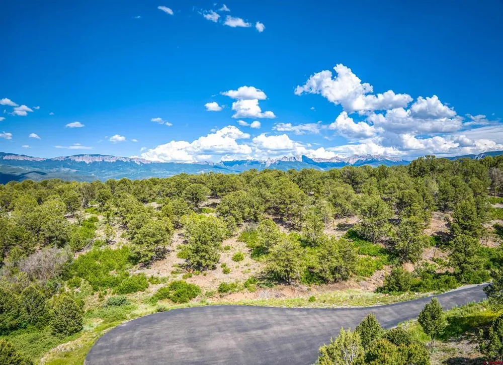 9 Pointe Escape Drive Ridgway, CO 81432