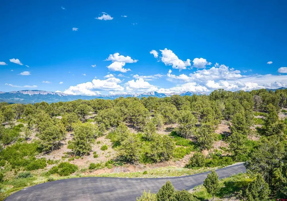 9 Pointe Escape Drive Ridgway, CO 81432