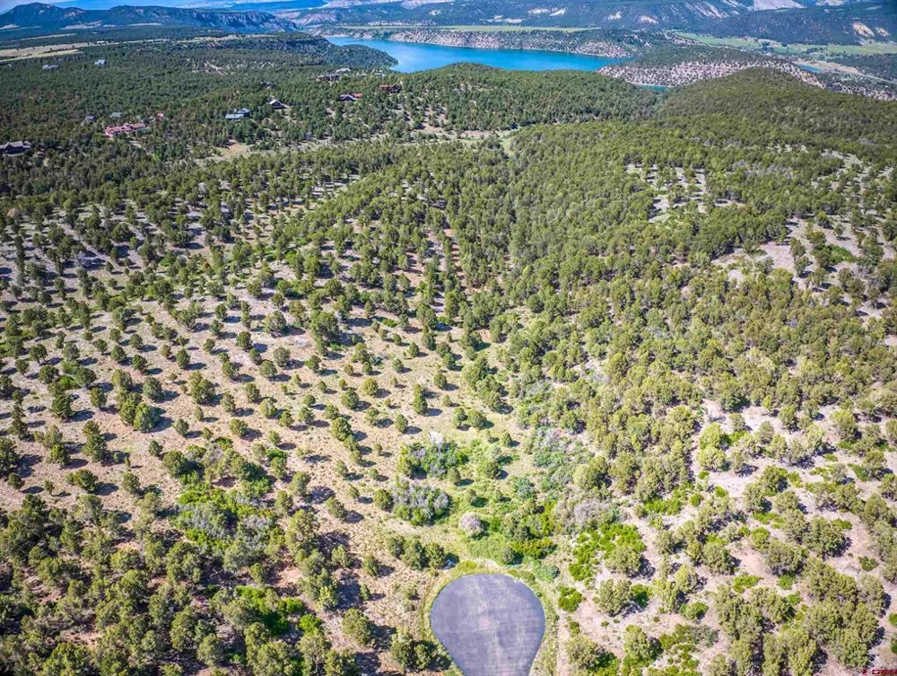 9 Pointe Escape Drive Ridgway, CO 81432