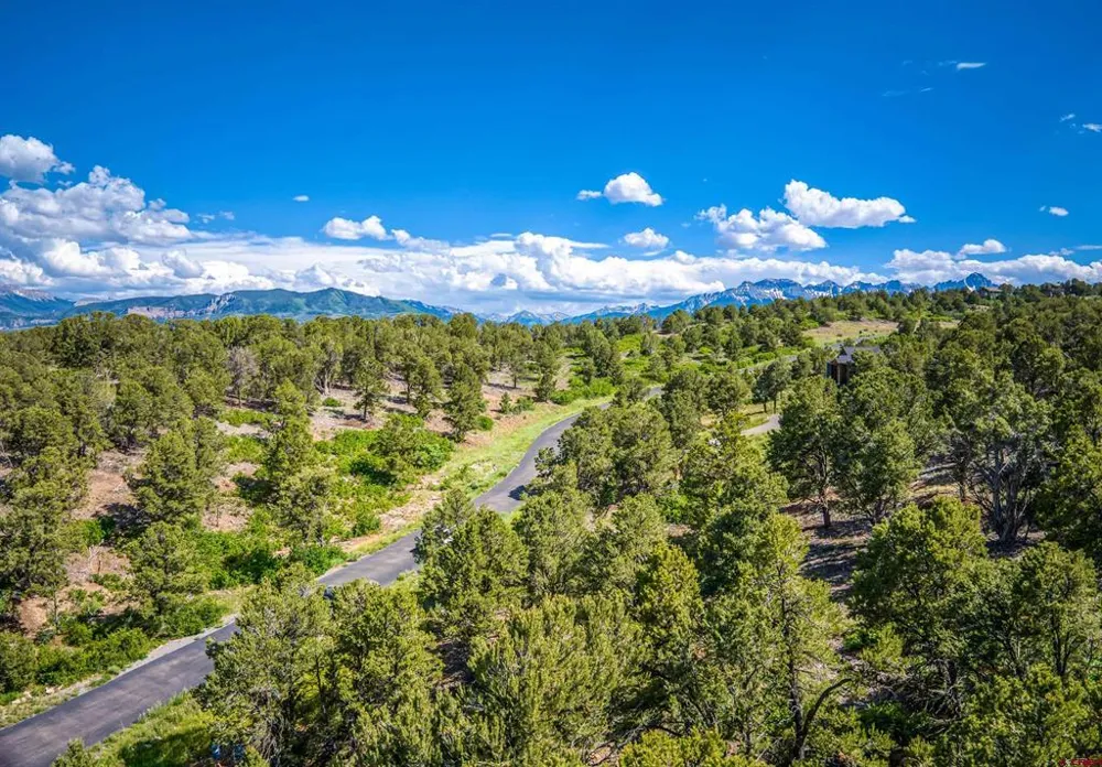 9 Pointe Escape Drive Ridgway, CO 81432