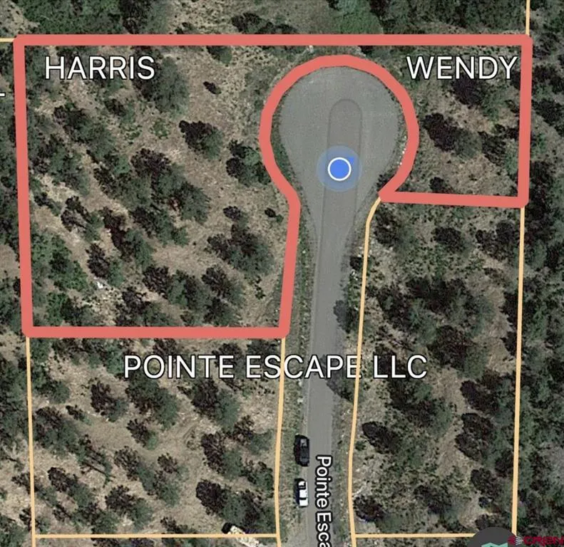 9 Pointe Escape Drive Ridgway, CO 81432