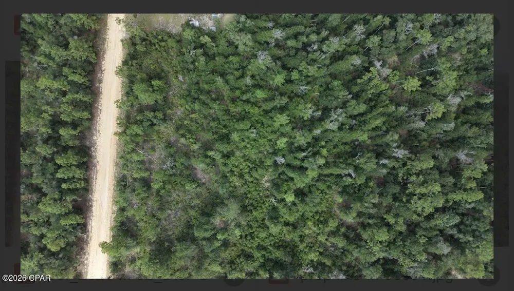 Arpana Circle Alford, FL 32420