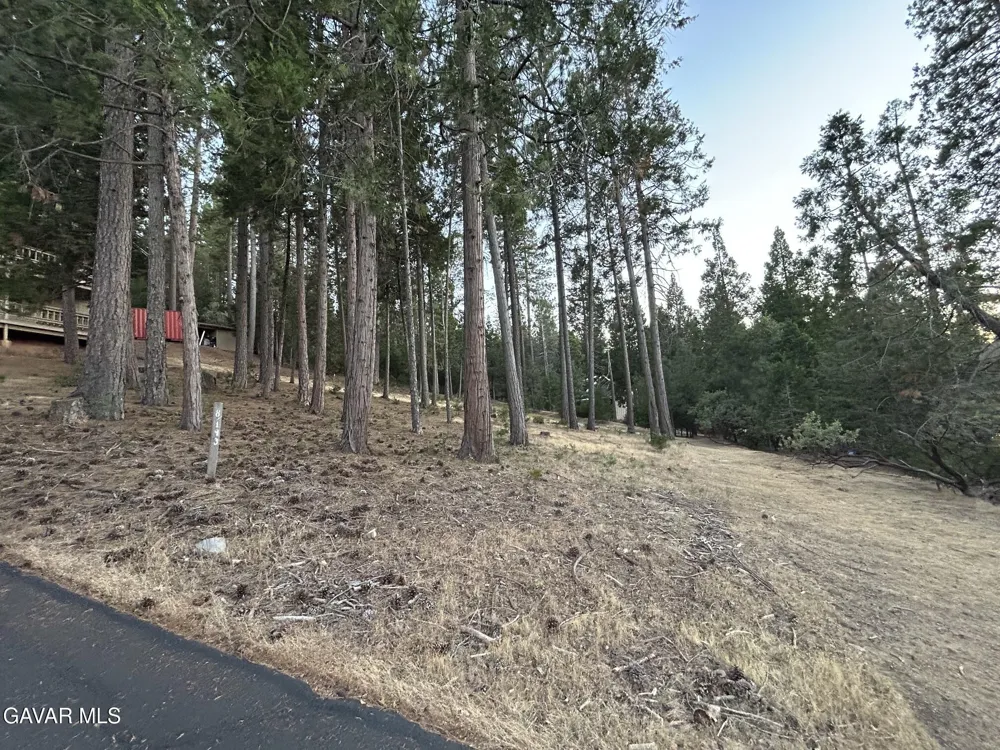 12105 Hillhurst Circle Goverland, CA 95321