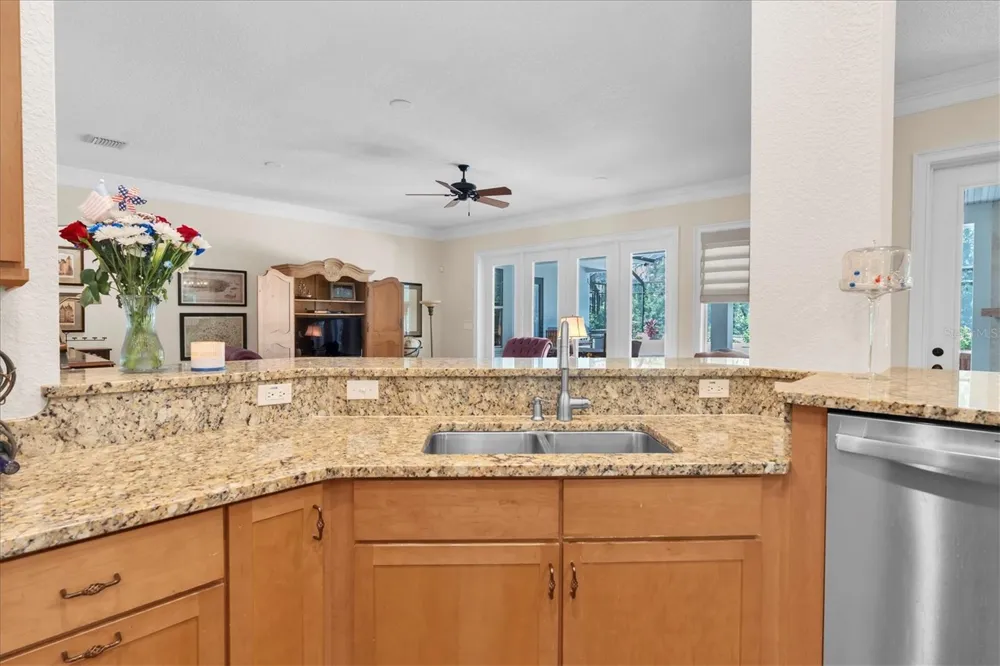 16301 DUNLINDALE DRIVE Lithia, FL 33547