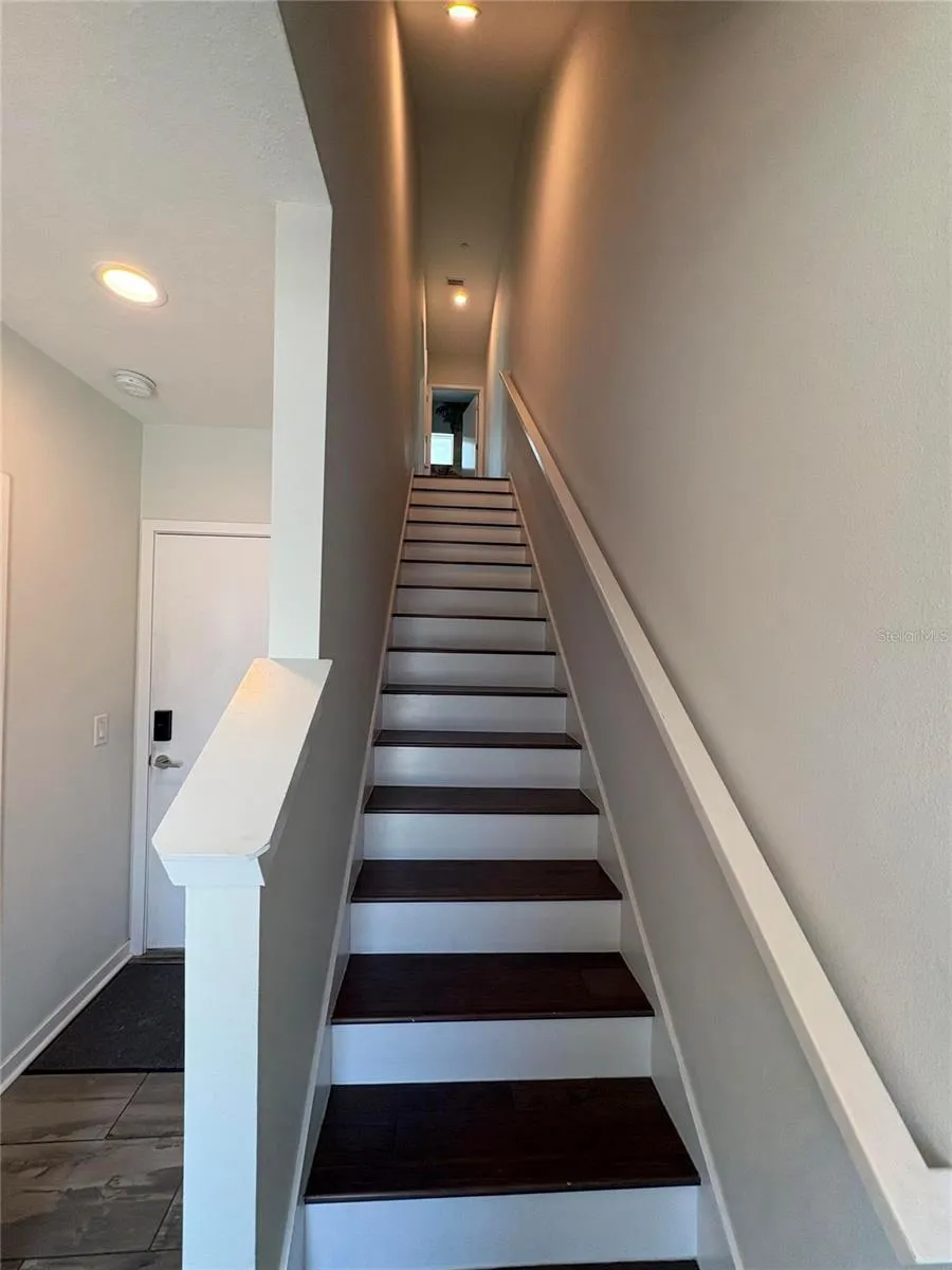 343 8TH STREET St Petersburg, FL 33701