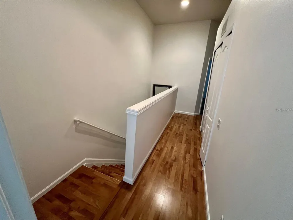 26543 CASTLEVIEW WAY Wesley Chapel, FL 33544