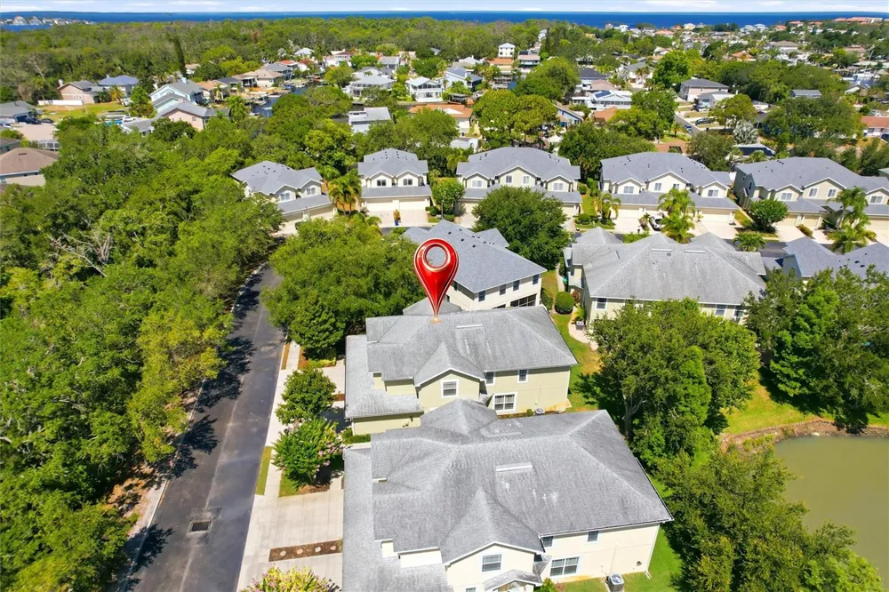 477 HARBOR RIDGE DRIVE Palm Harbor, FL 34683