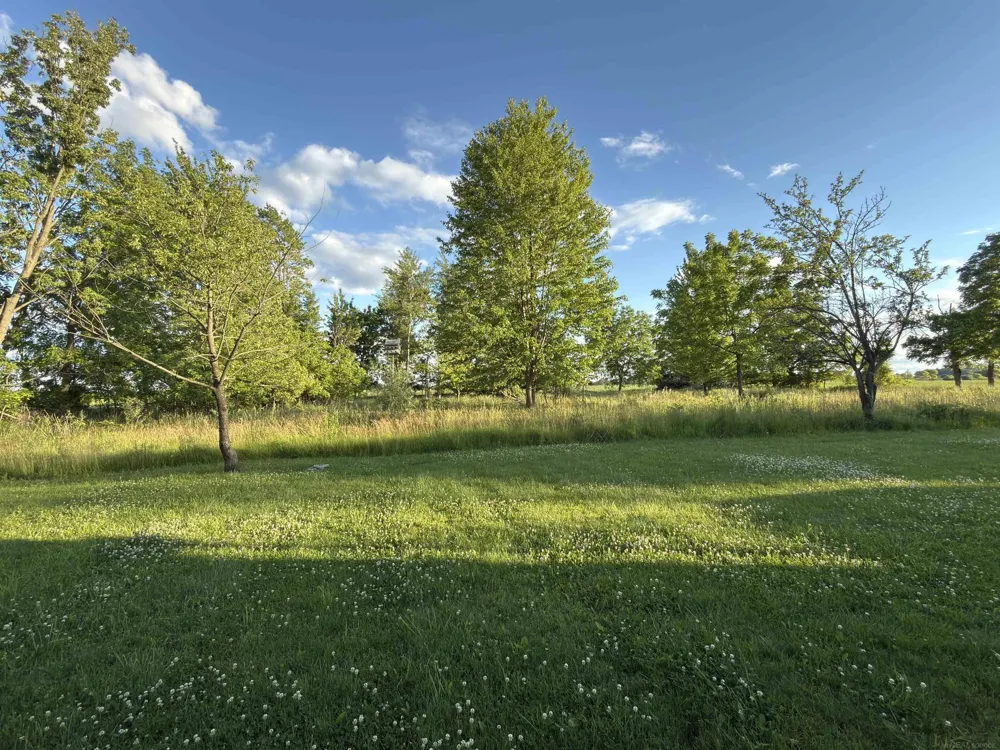 1451 Loree Road Bridgehampton Township, MI 48419