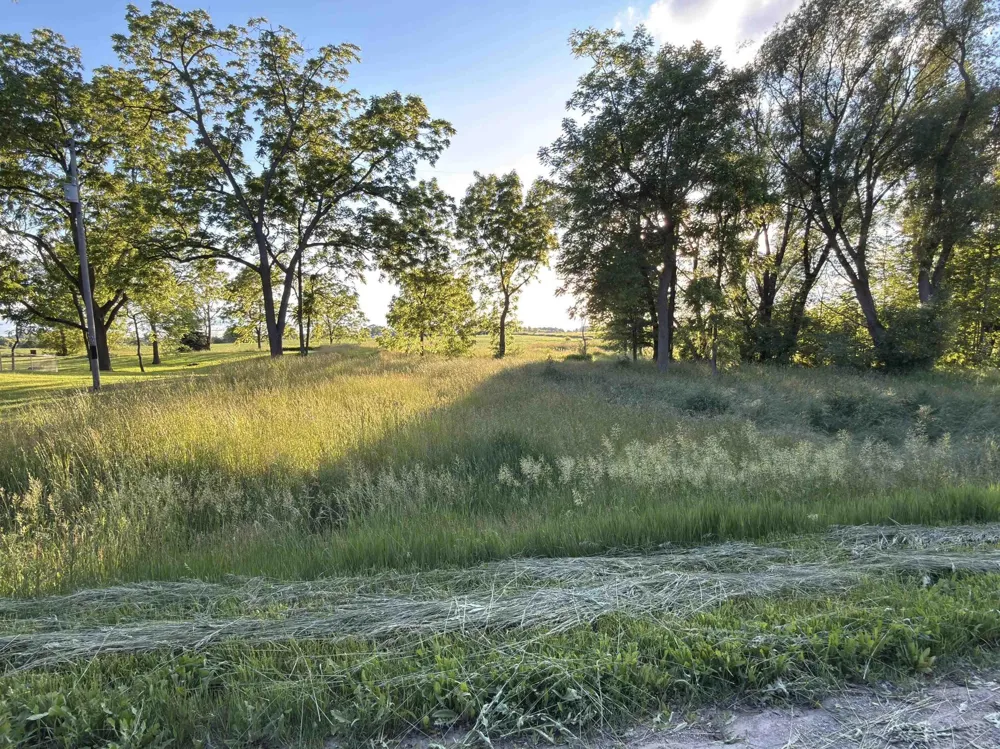 1451 Loree Road Bridgehampton Township, MI 48419