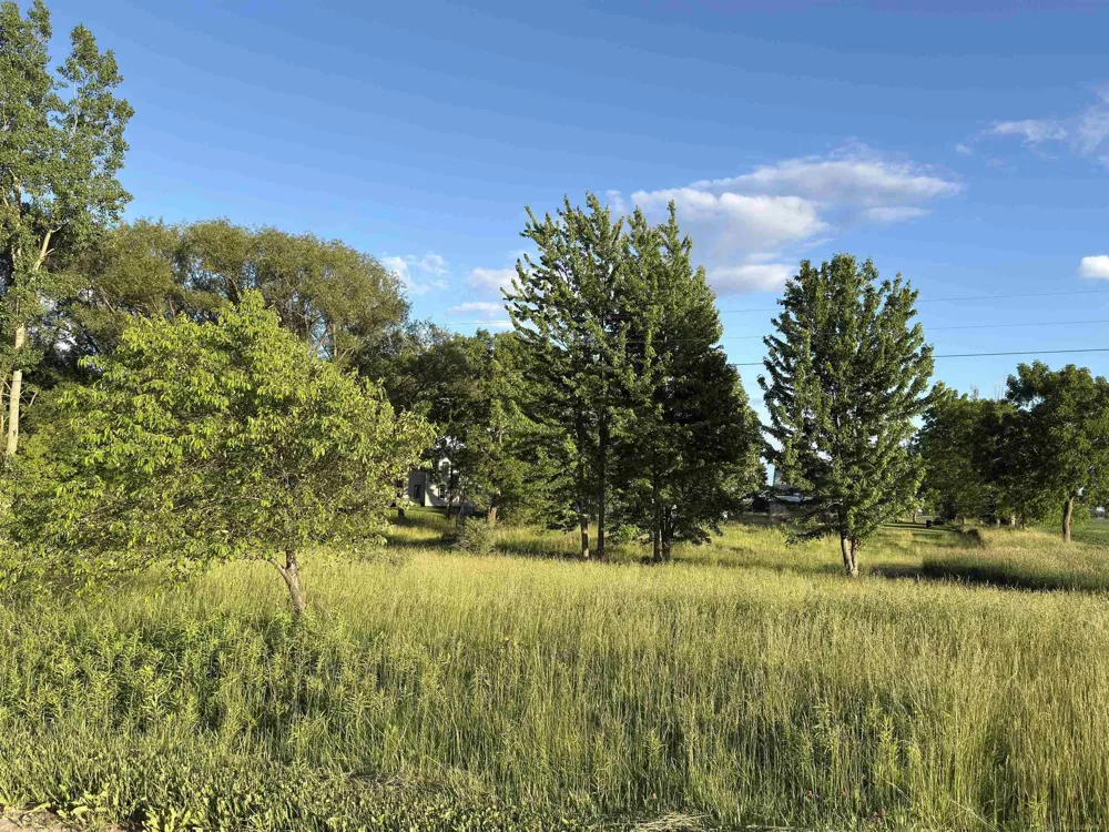 1451 Loree Road Bridgehampton Township, MI 48419