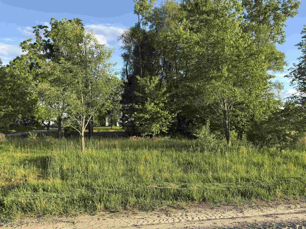 1451 Loree Road Bridgehampton Township, MI 48419