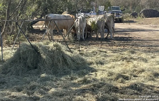 000 FM 1346 St Hedwig, TX 78152